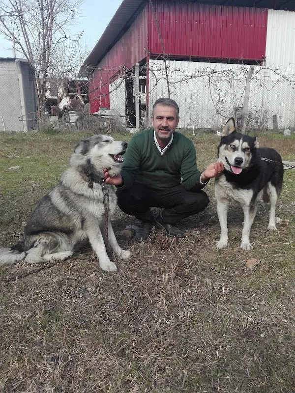 Başak