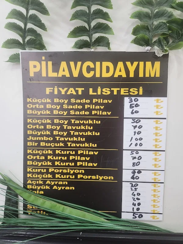 PiLAVCI DAYIM