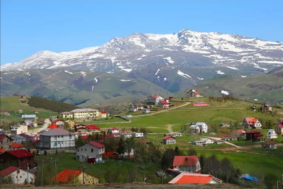 Çambaşı Yaylası