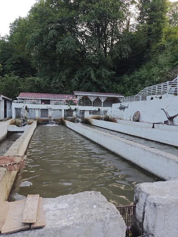 Gökküşağı Balık