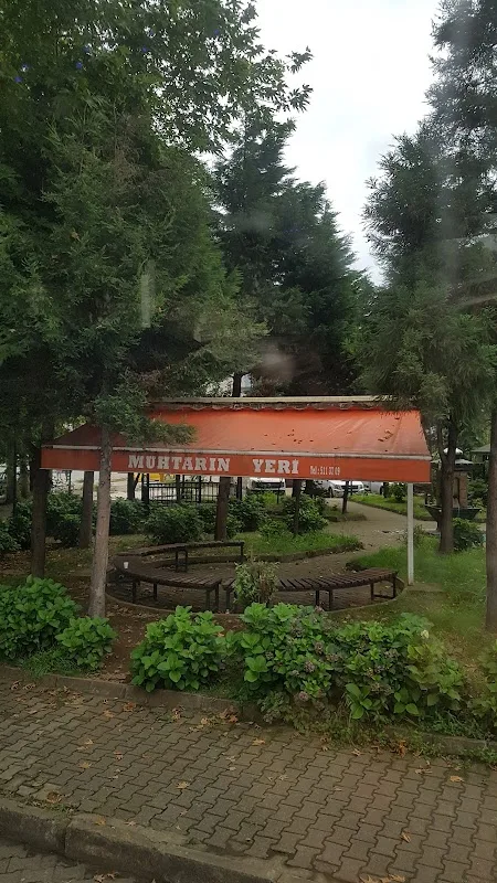 Muhtarın Yeri Fındıklı