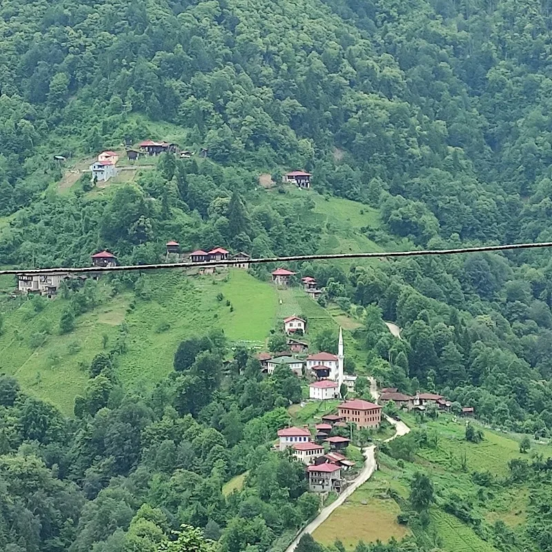 Hemşin