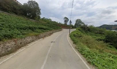 Bizim Köşe Lokantası