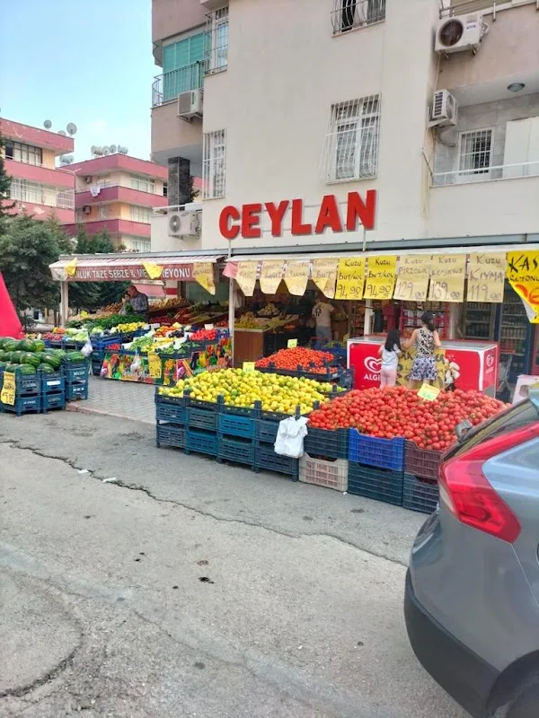 Ceylan Gross Market