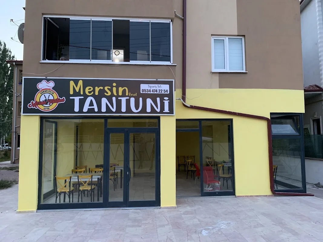 Mersin Tantuni Geyve