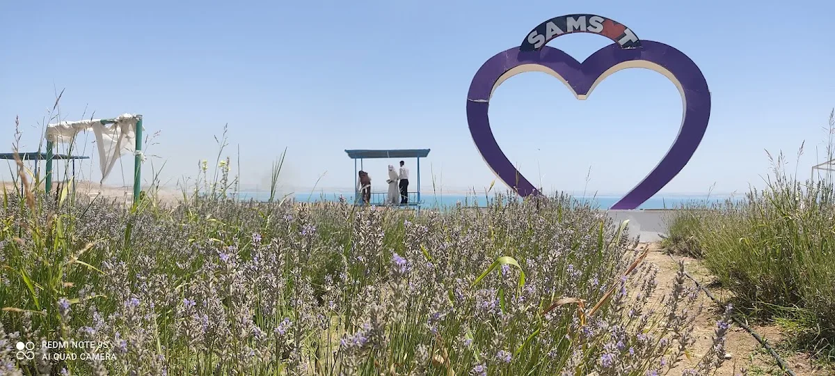 Samsat belediye lavanta bahçesi