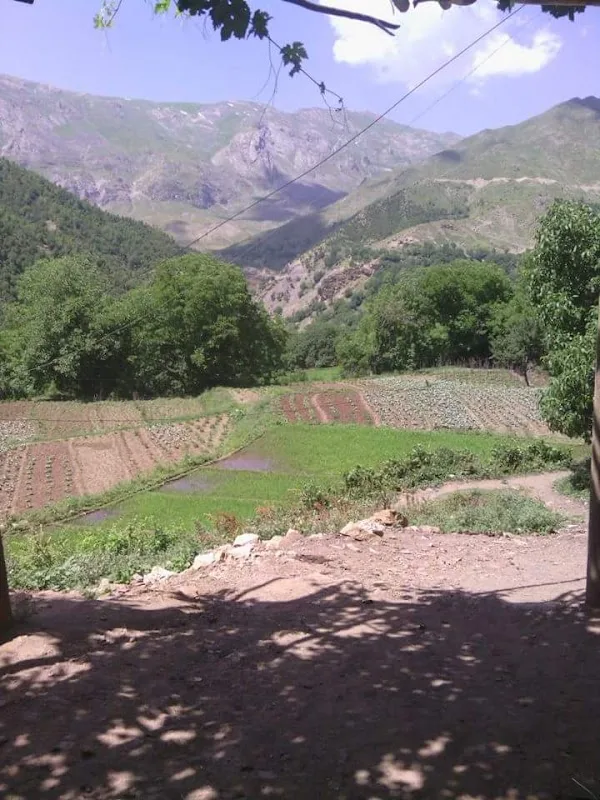 Şirvan