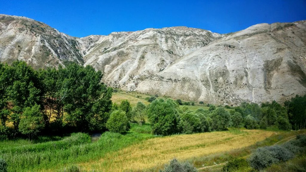 Ulaş