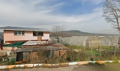 Göçbeyli Kasap & Et Mangal Izgara