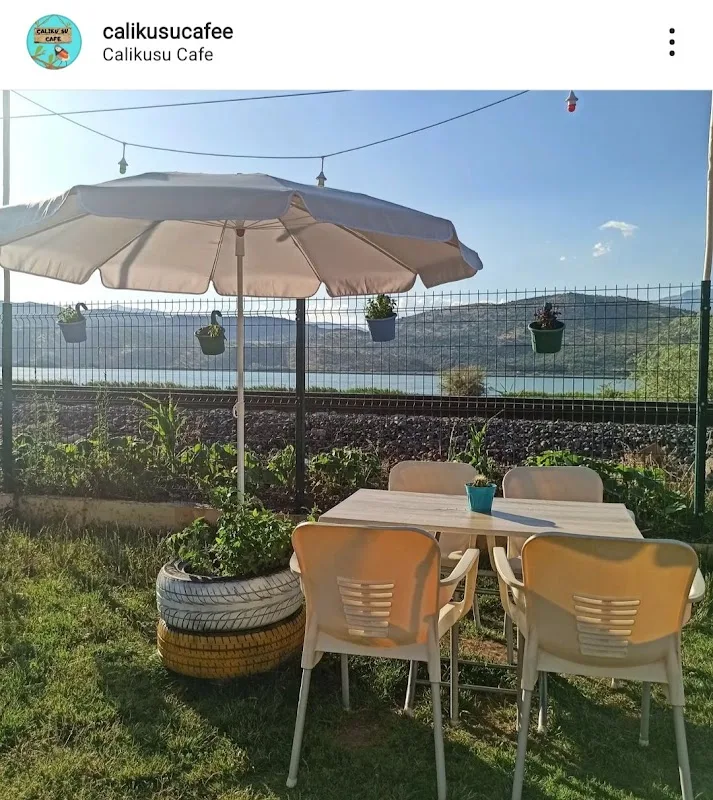 Çalıkuşu cafe
