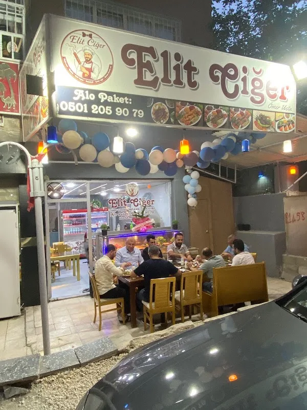 Elit ciğer