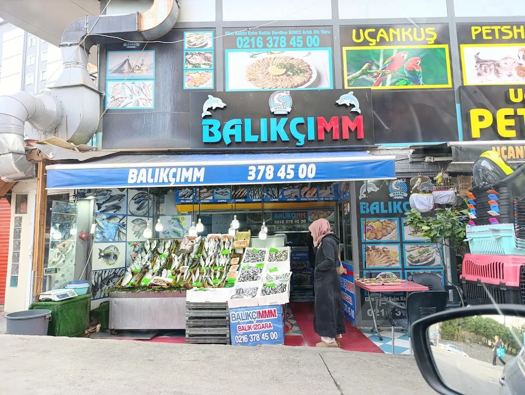 BALIKÇIMM