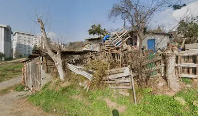 TAŞ