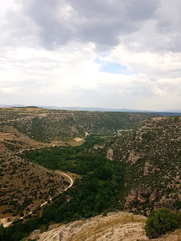 Ulubey Çamlığı