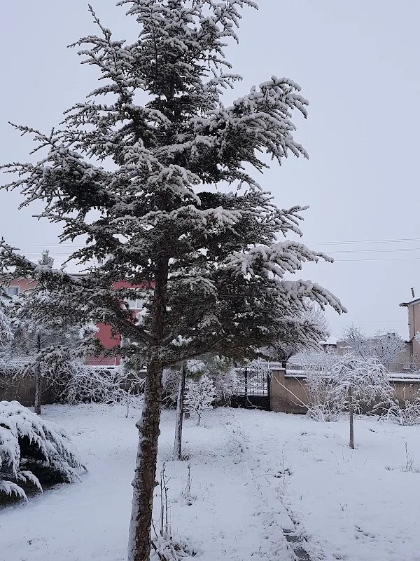 Diriliş Sofrası