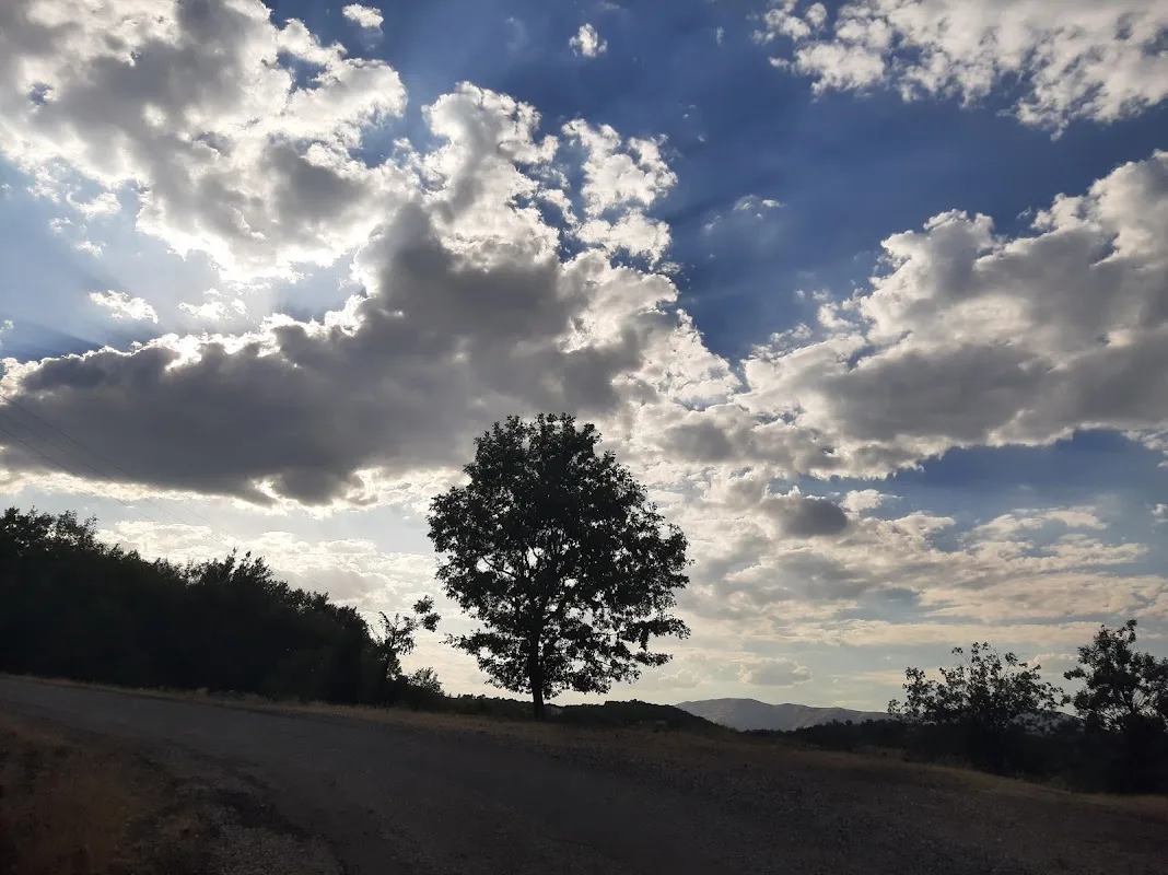 Dallarca Köyü Muhtarlığı