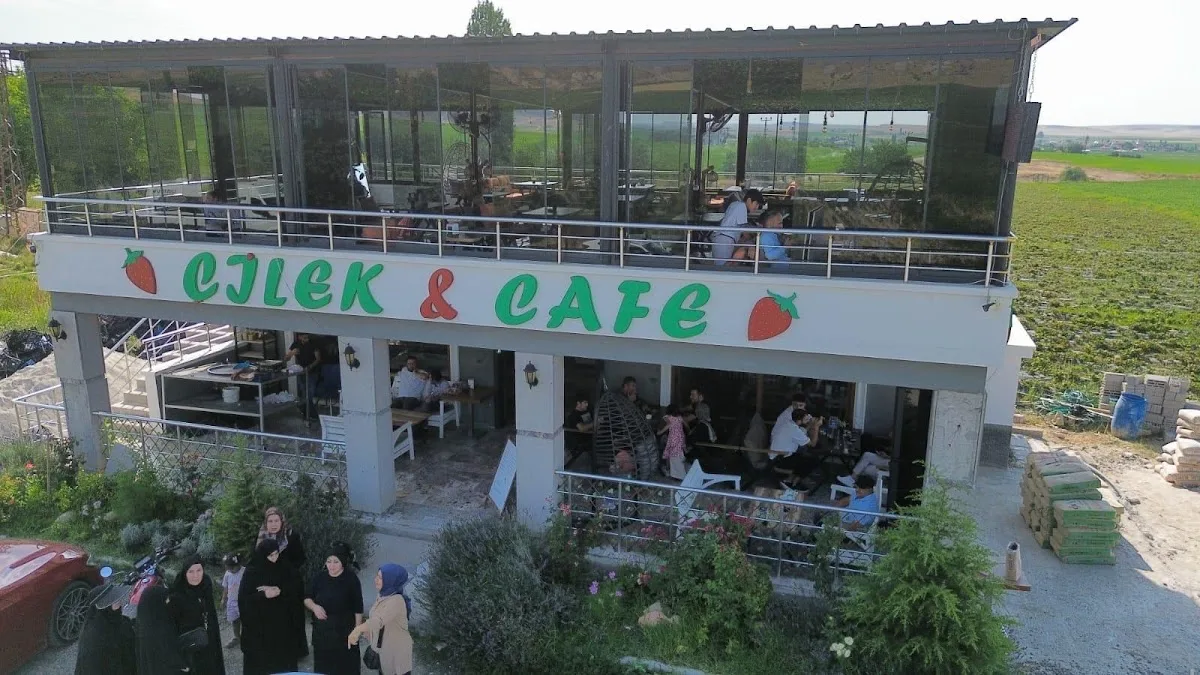 Çilek Cafe Alanyurt