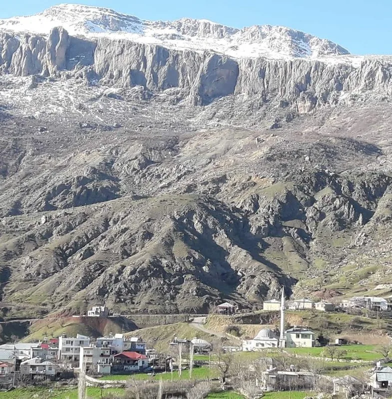 Yukarıdağlıca Köyü Muhtarlığı