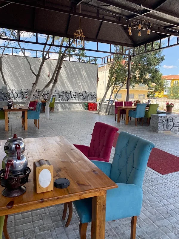 DM TANTUNİ