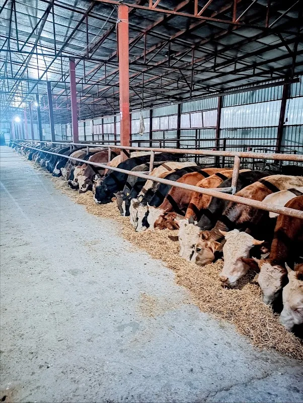KIZILIRMAK BESİ A. Ş