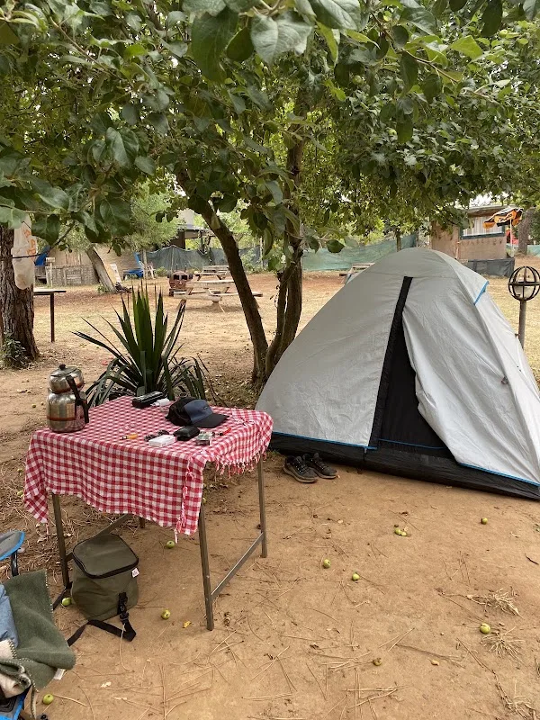 Doğancılı camping Cafe restaurant