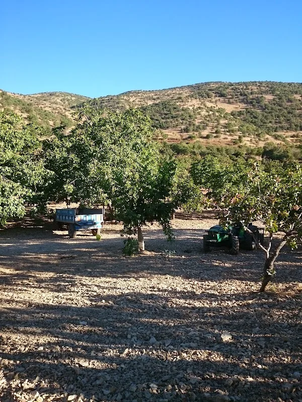 Karaburun
