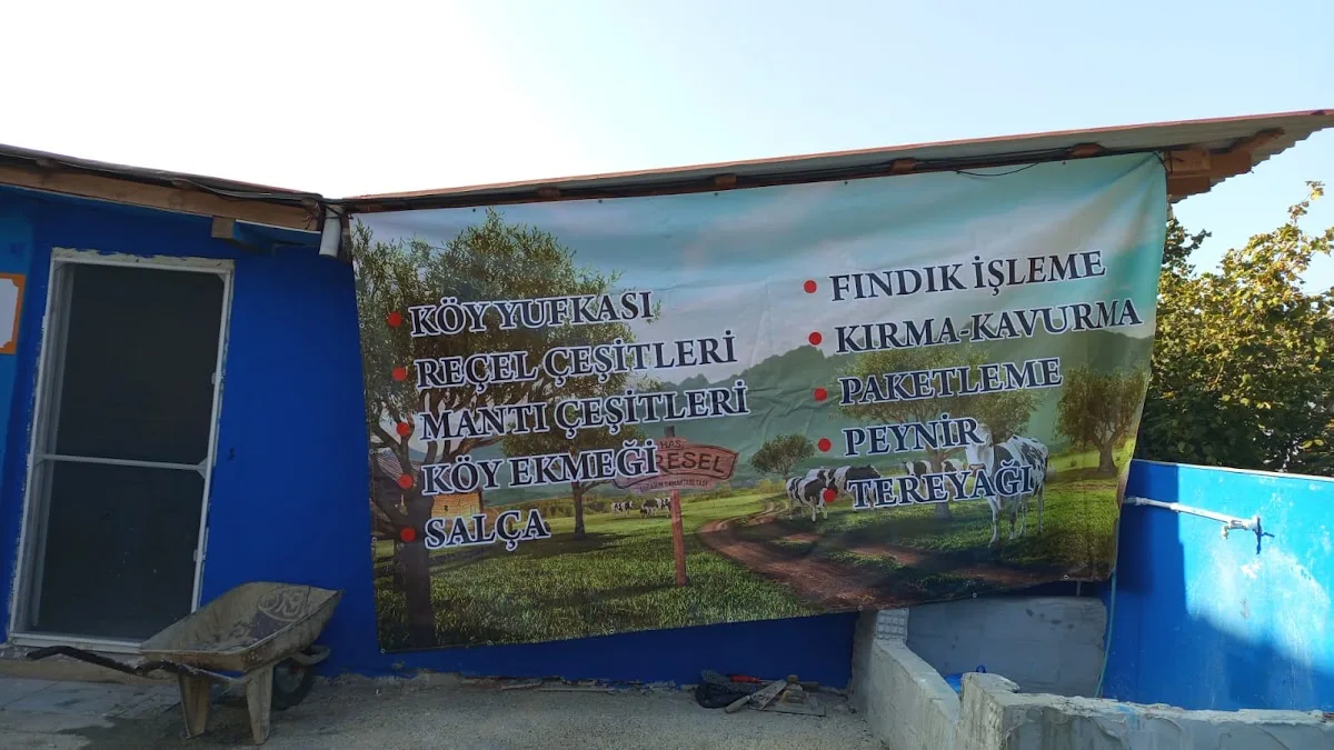 Düzce yufkaci