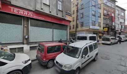 Doğan