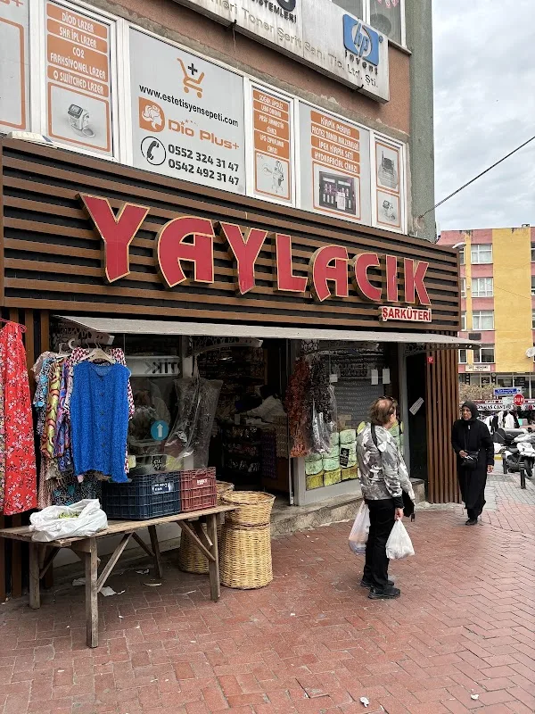 YAYLACIK ŞARKÜTERİ