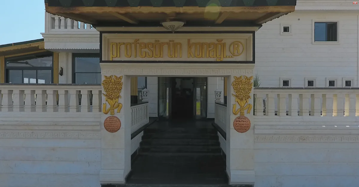Profesörün Konağı