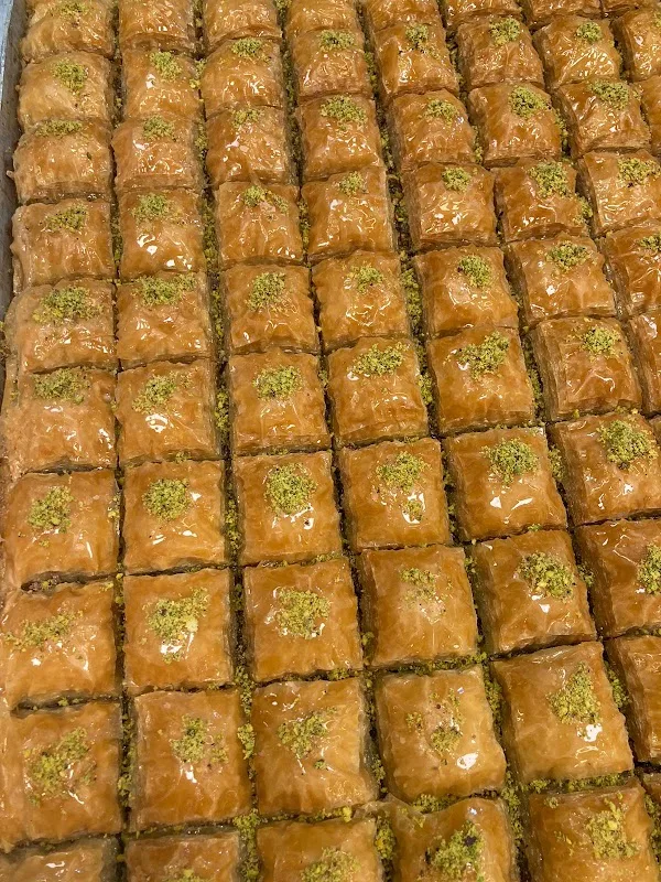 ŞERİFOĞULLARİ TARIM SAMANCILIK NAKLİYE TIC,LTD AŞ