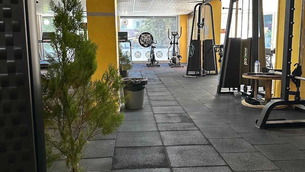 Powerlife Fitness