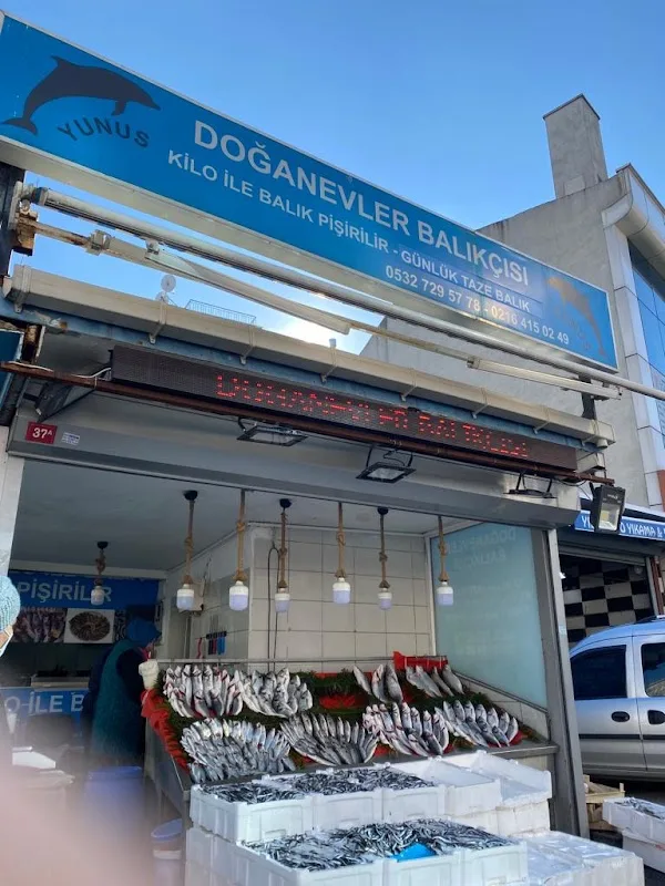 Doğanevler Balıkçısı