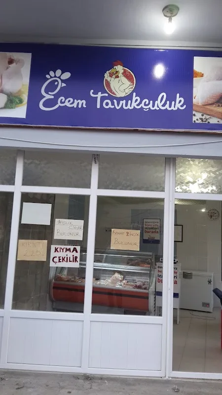 Ecem Tavukçuluk