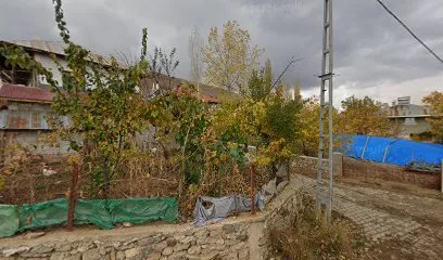 Hazar market