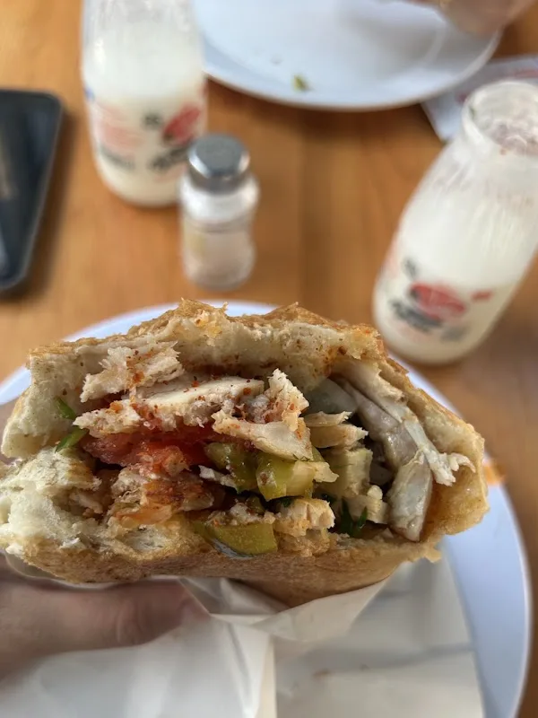 Seyrek Döner