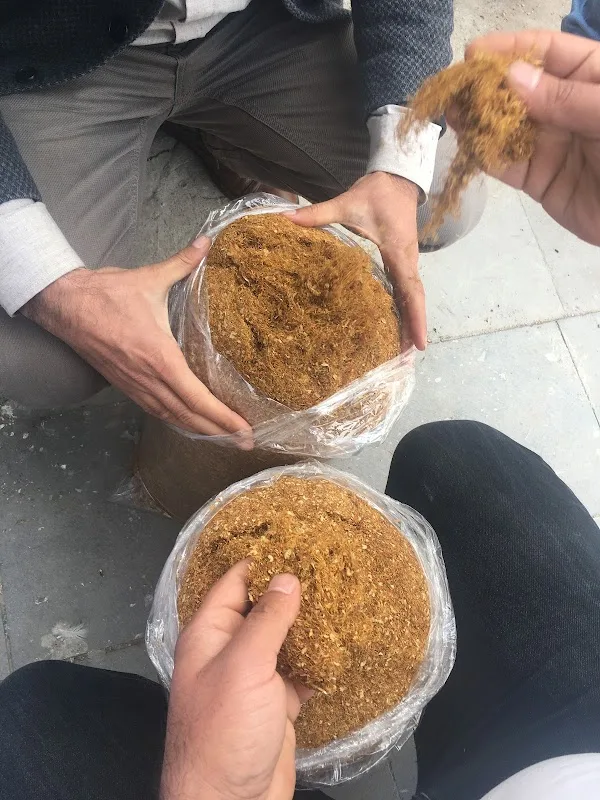 Yaptat Adıyaman Kahvesi