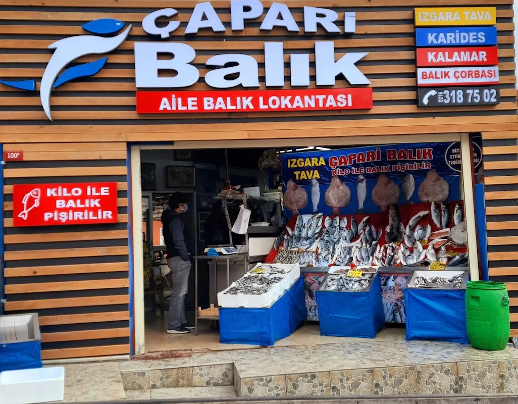 Çapari Balık