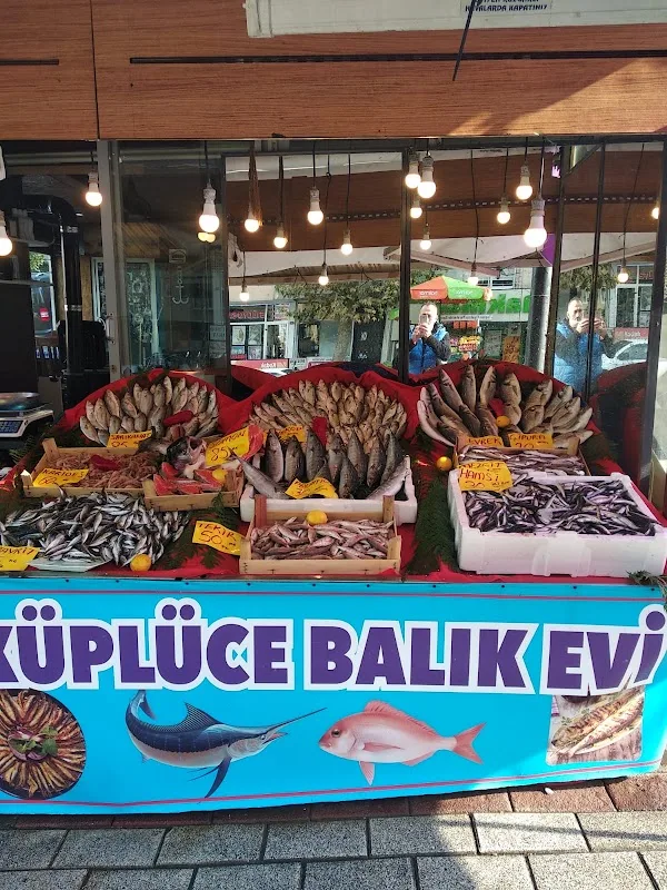 Küplüce balık evi