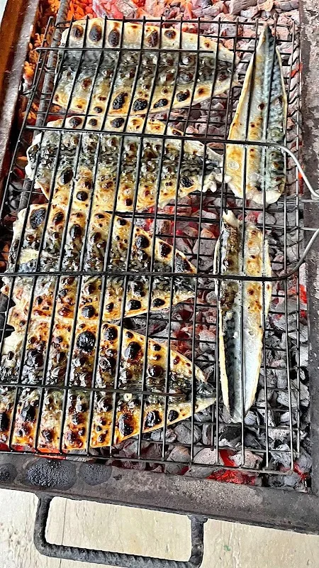 SOLHAN BALIKCILIK URFALI ERKAN USTA