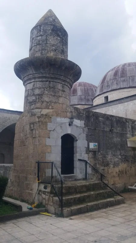 Kurtkulağı