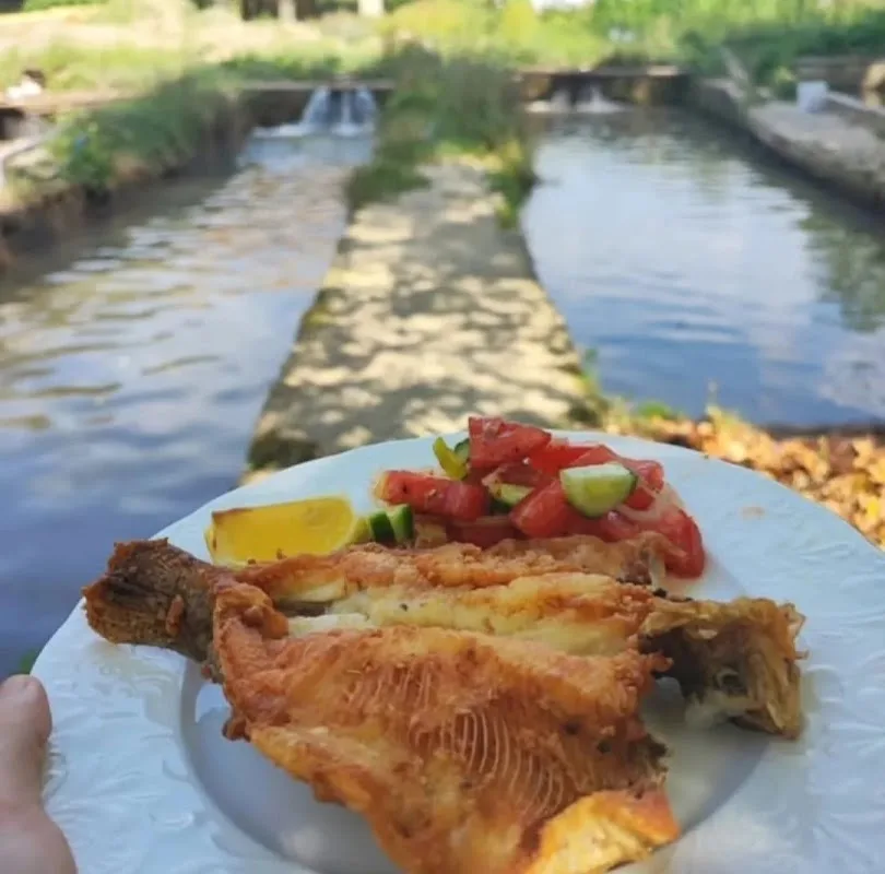 Ozan alabalık piknik et mangal