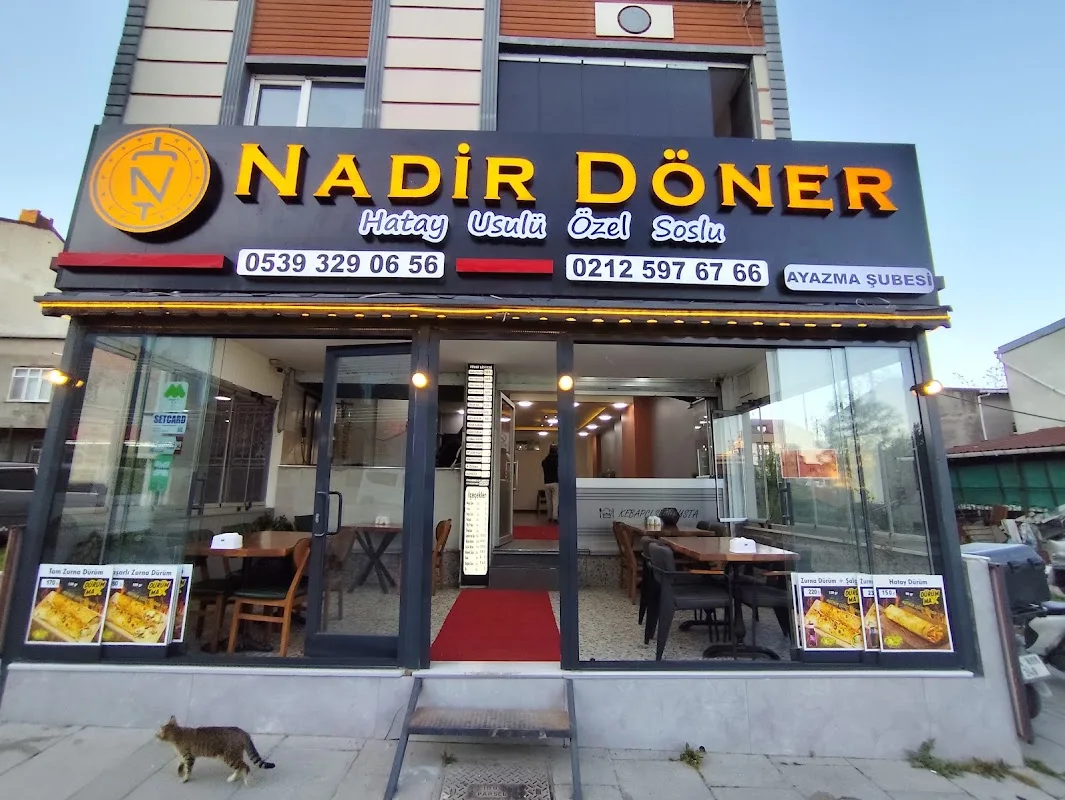 Nadir döner