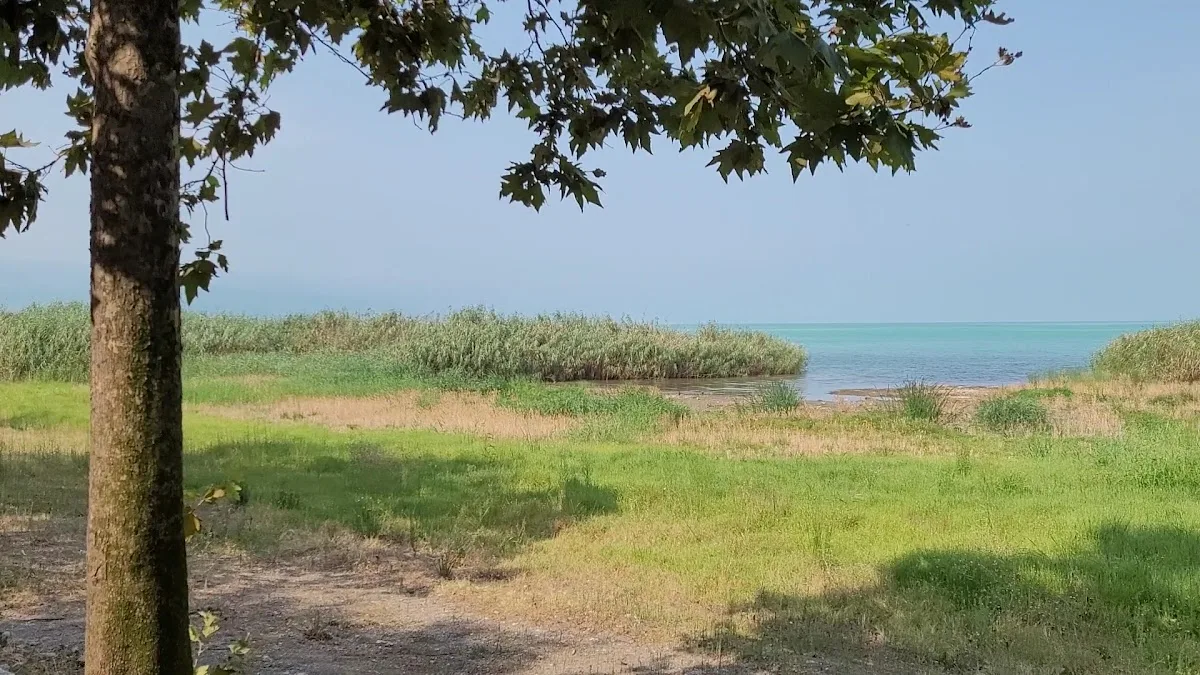 Sahil Yolu Balık ve Pide Salonu