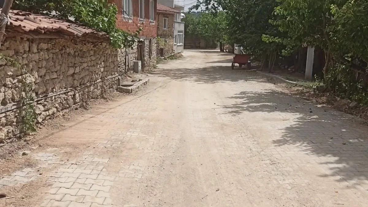 Videolar