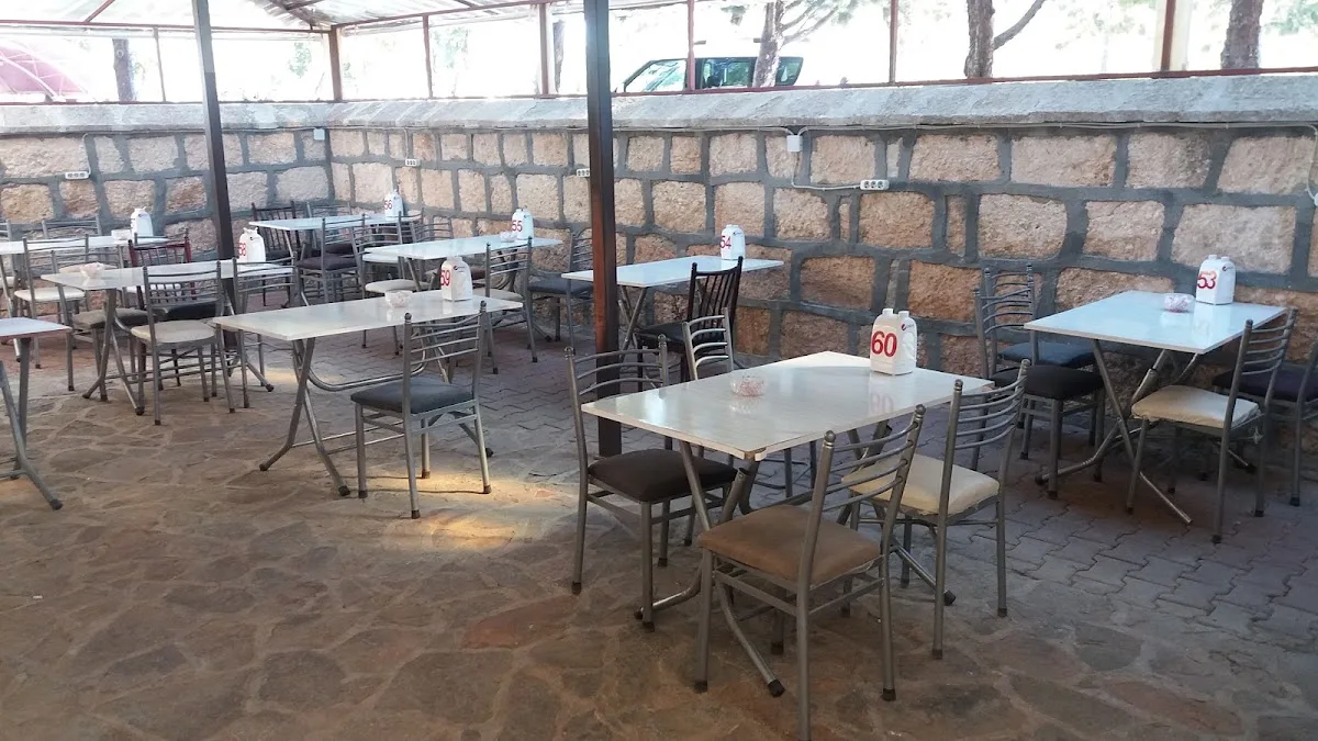 Cafe Muze