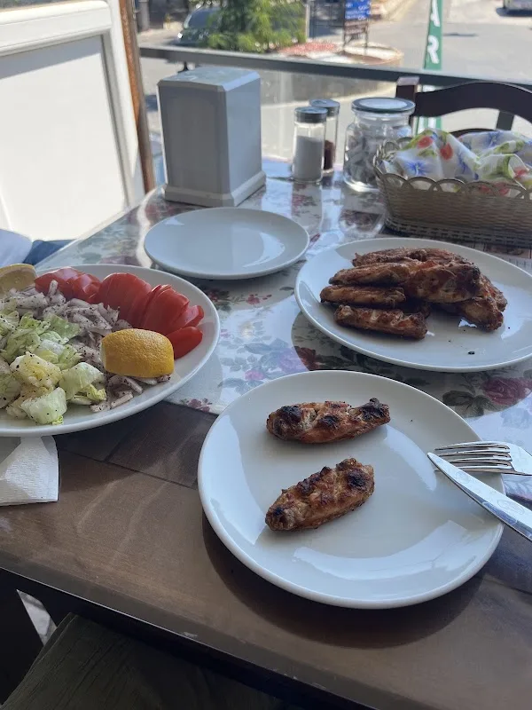 EGE KANATÇISI