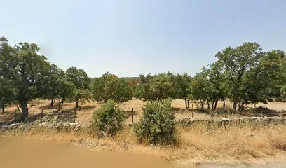 Assos Gül Cafe