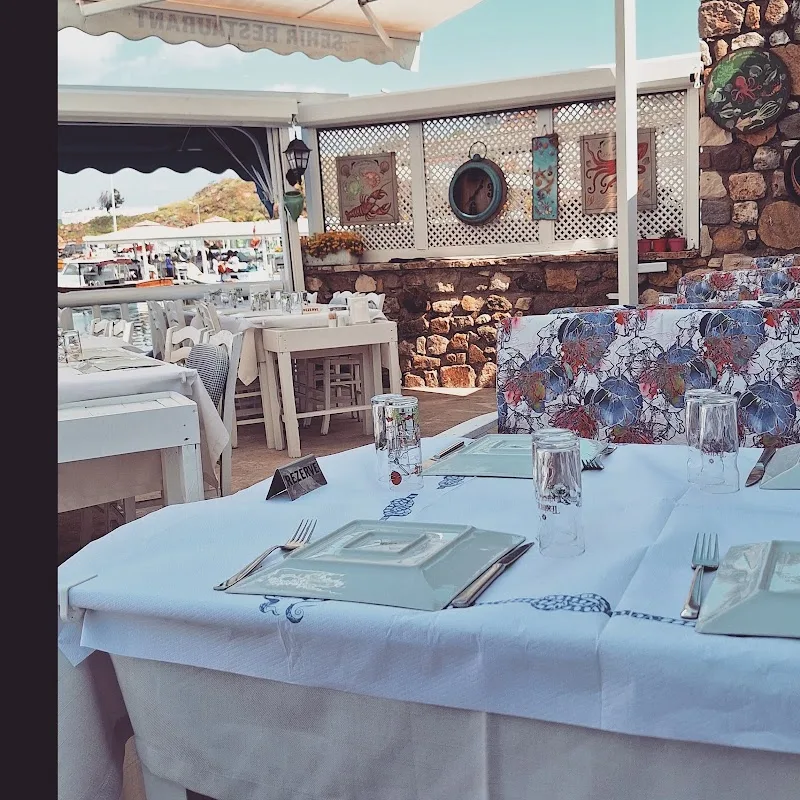 Şehir Restaurant