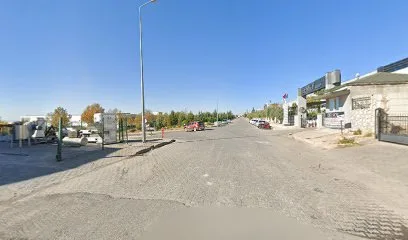 Saray Kahve